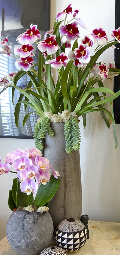 home floral design: orchids, succulents, stone vessels