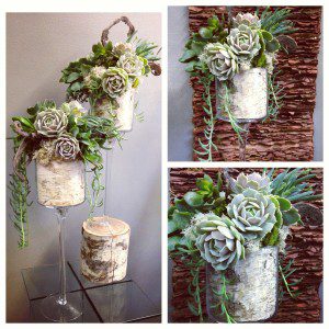 Sustainable home collection: Interiors, design, birch wood, echeveria, succulents.