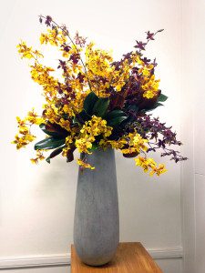 La Bohème: Oncidium orchids in a stone vessel.