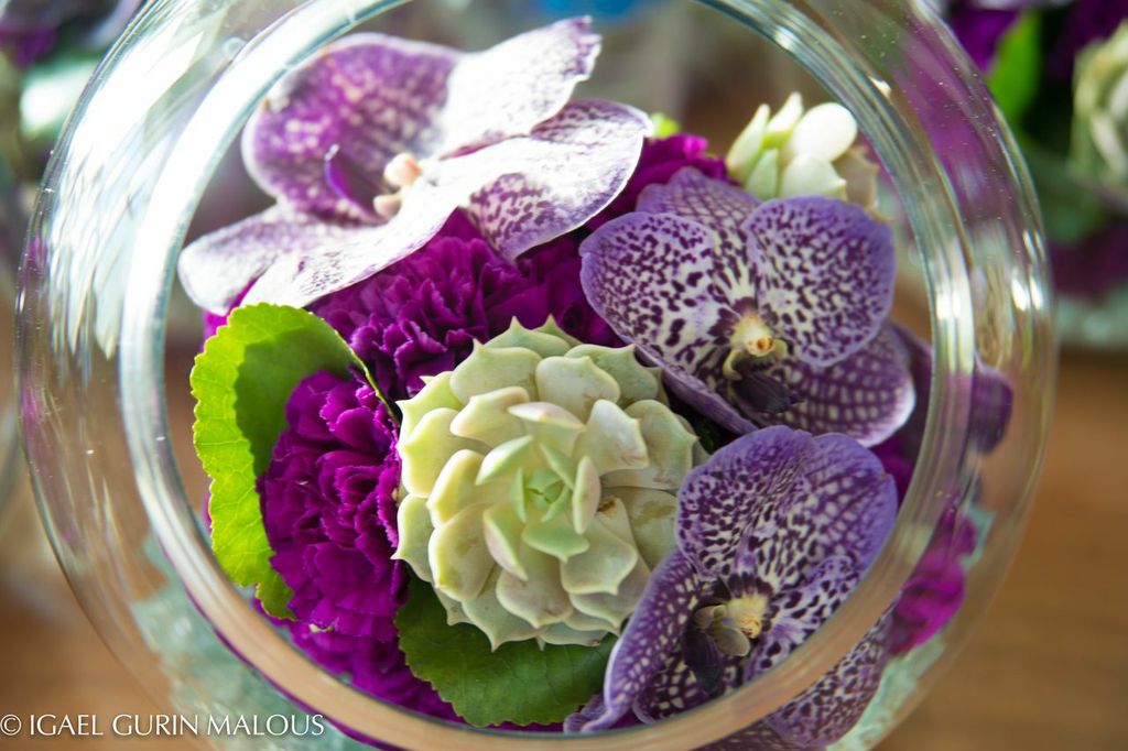 Vanda Orchid & Succulent chic wedding details