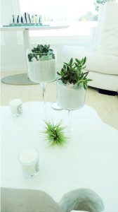 Duet: duo of succulents, tillandsia, sea glass, and white sand. From the La Petite Gardenia Sustainable Collection.