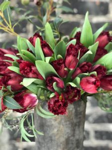 Image of a bundle of Dutch Versace Cranberry Tulips arranged with vibrant botanicals.