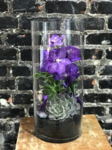 Image of a planted purple orchid and a succulent in a cylinder vase, with a matching colored crystal.